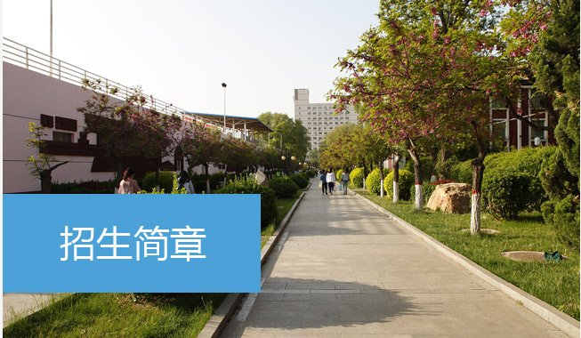 本站按公开材料组织页面