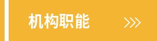 部门领导