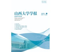 提升办学实力而实施的重大专项工程