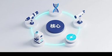办学开放度进一步提升